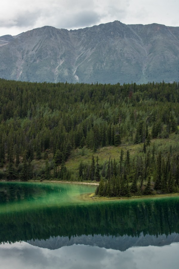 Emerald Lake, BC   2 by Laurie Kindred